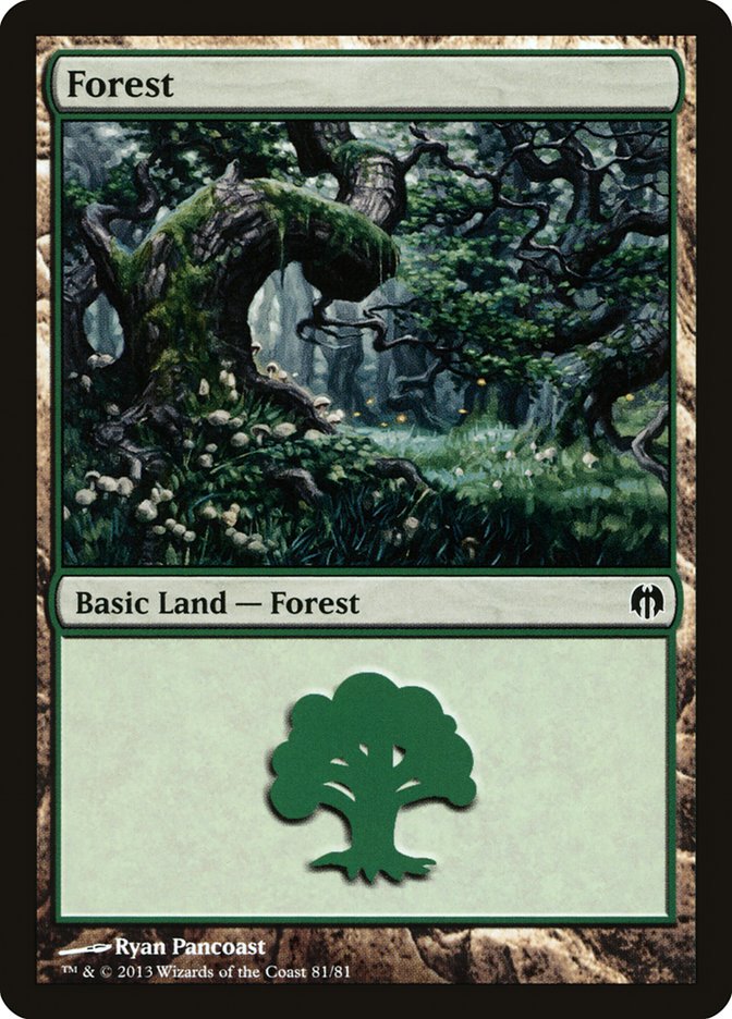 Forest (81) [Duel Decks: Heroes vs. Monsters] | Dragon's Lair Comics and Fantasy Houston TX