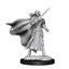 Wizkids Wizkids Magic the Gathering Unpainted Miniatures: W14 Elf Fighter & Elf Cleric | Dragon's Lair Comics and Fantasy Houston TX