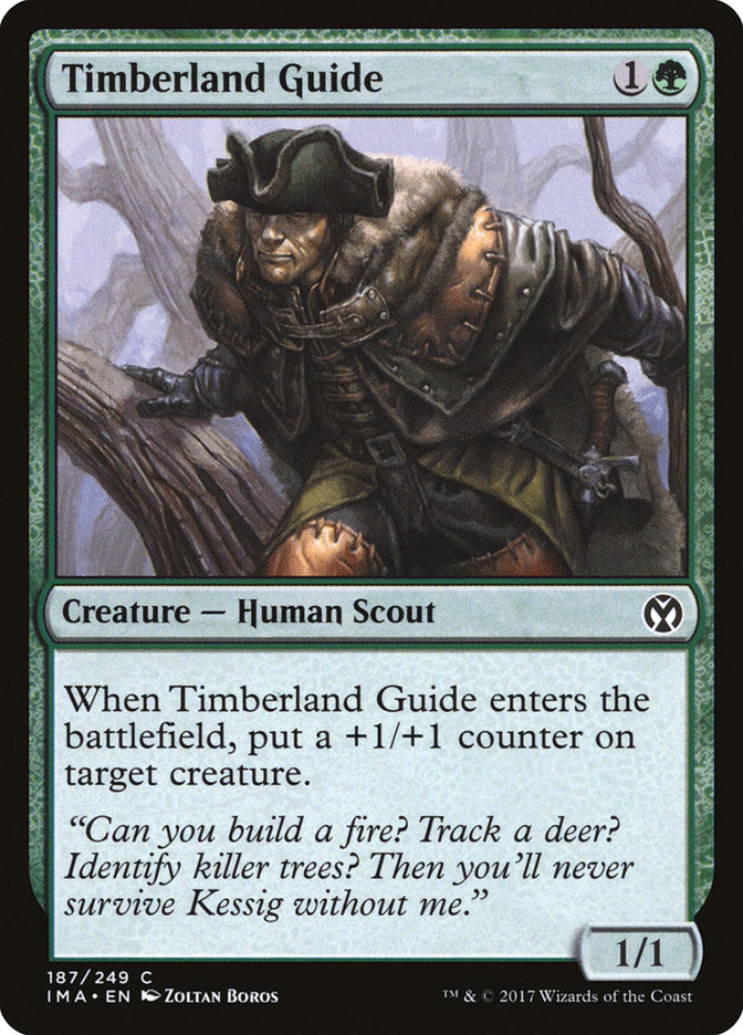 Timberland Guide [Iconic Masters] | Dragon's Lair Comics and Fantasy Houston TX