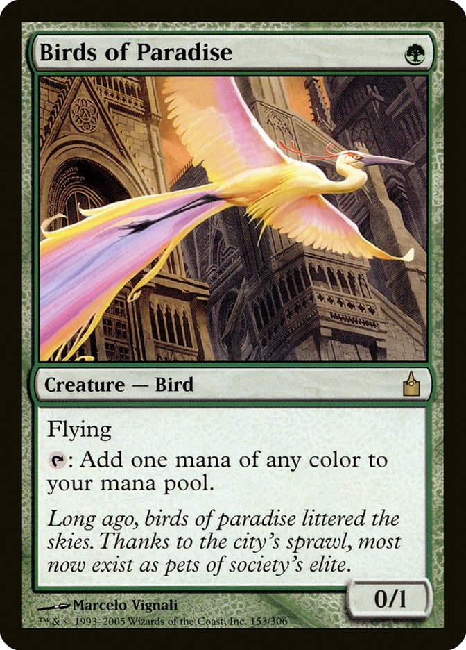 Birds of Paradise [Ravnica: City of Guilds] | Dragon's Lair Comics and Fantasy Houston TX