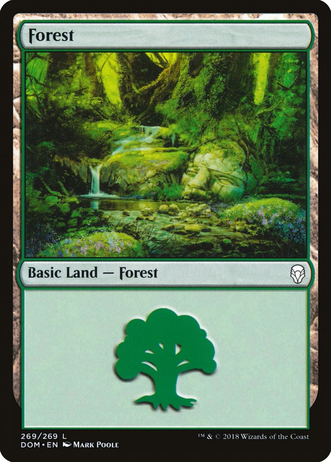 Forest (269) [Dominaria] | Dragon's Lair Comics and Fantasy Houston TX