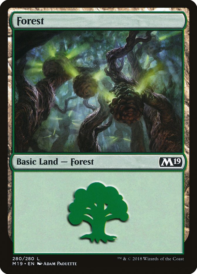 Forest (280) [Core Set 2019] | Dragon's Lair Comics and Fantasy Houston TX