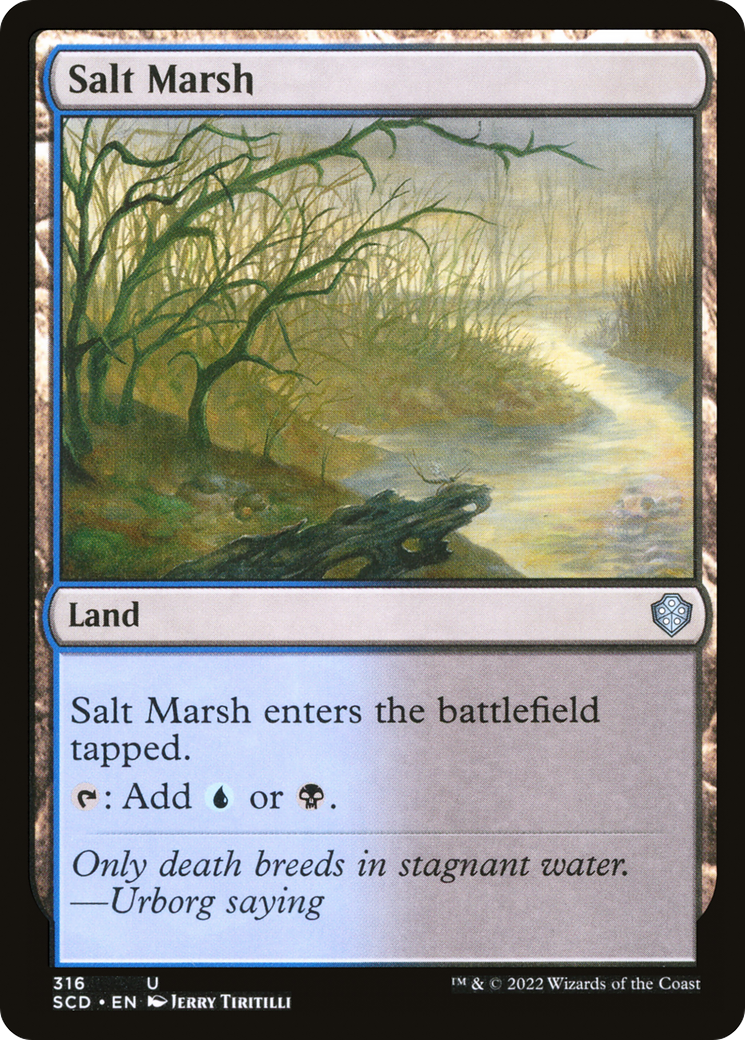 Salt Marsh [Starter Commander Decks] | Dragon's Lair Comics and Fantasy Houston TX