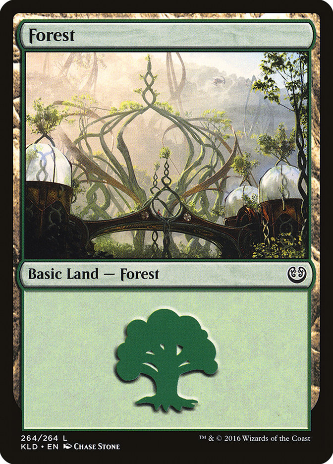 Forest (264) [Kaladesh] | Dragon's Lair Comics and Fantasy Houston TX