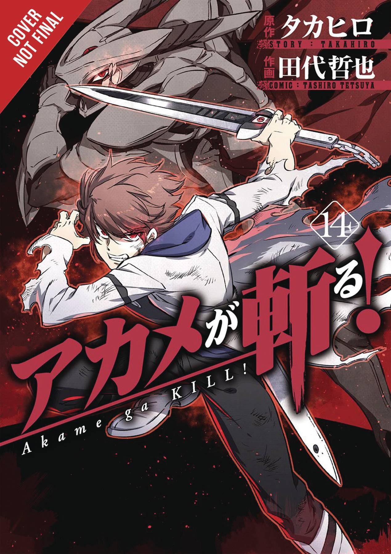 Akame Ga Kill Graphic Novel Volume 14 | Dragon's Lair Comics and Fantasy Houston TX