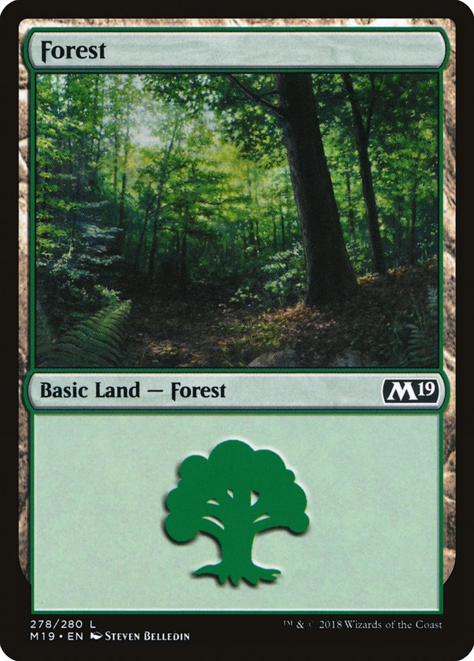 Forest (278) [Core Set 2019] | Dragon's Lair Comics and Fantasy Houston TX