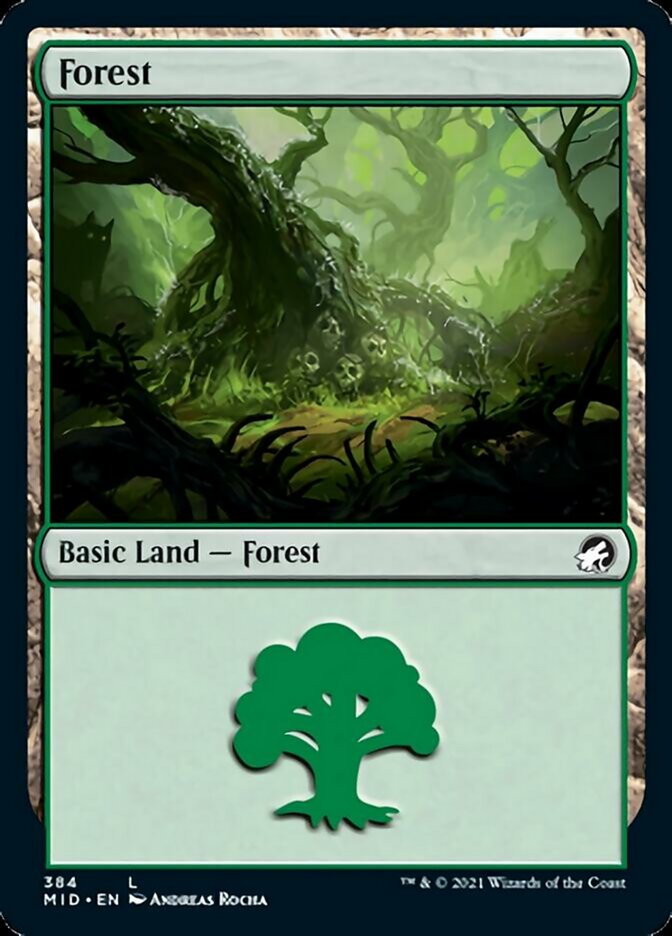 Forest (384) [Innistrad: Midnight Hunt] | Dragon's Lair Comics and Fantasy Houston TX