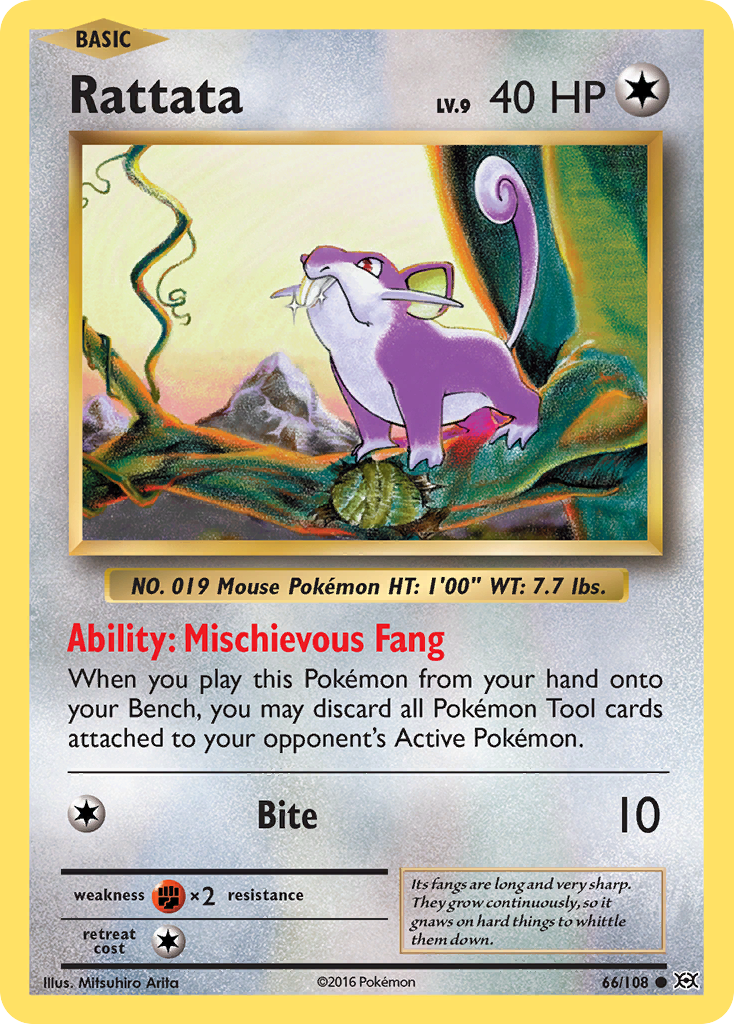 Rattata (66/108) [XY: Evolutions] | Dragon's Lair Comics and Fantasy Houston TX