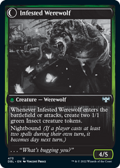 Infestation Expert // Infested Werewolf [Innistrad: Double Feature] | Dragon's Lair Comics and Fantasy Houston TX