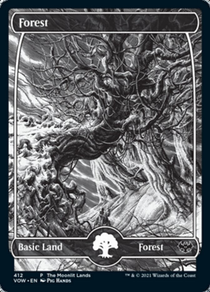 Forest (The Moonlit Lands) (Foil Etched) [Innistrad: Crimson Vow Promos] | Dragon's Lair Comics and Fantasy Houston TX