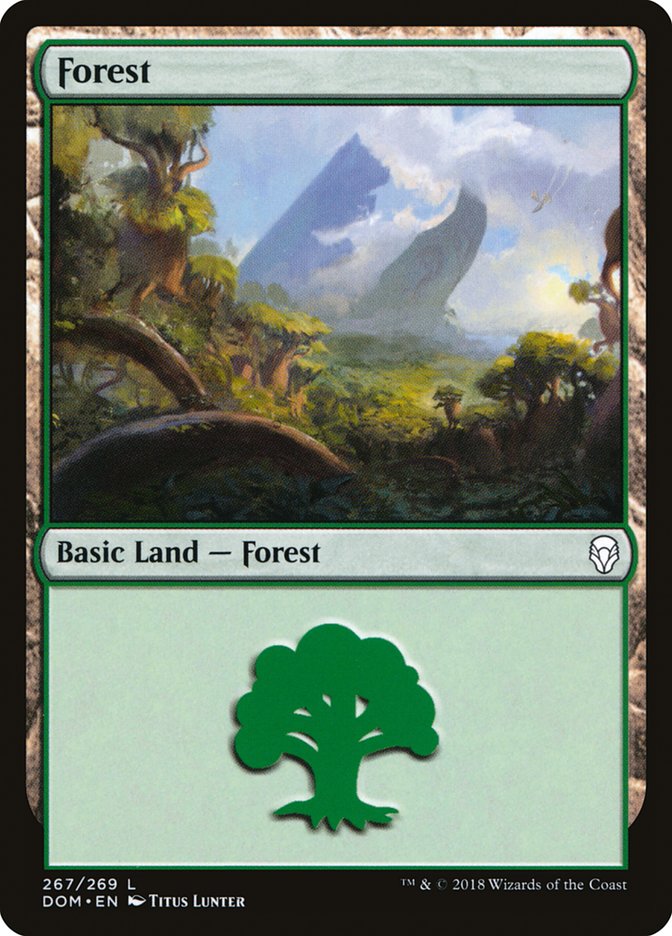 Forest (267) [Dominaria] | Dragon's Lair Comics and Fantasy Houston TX