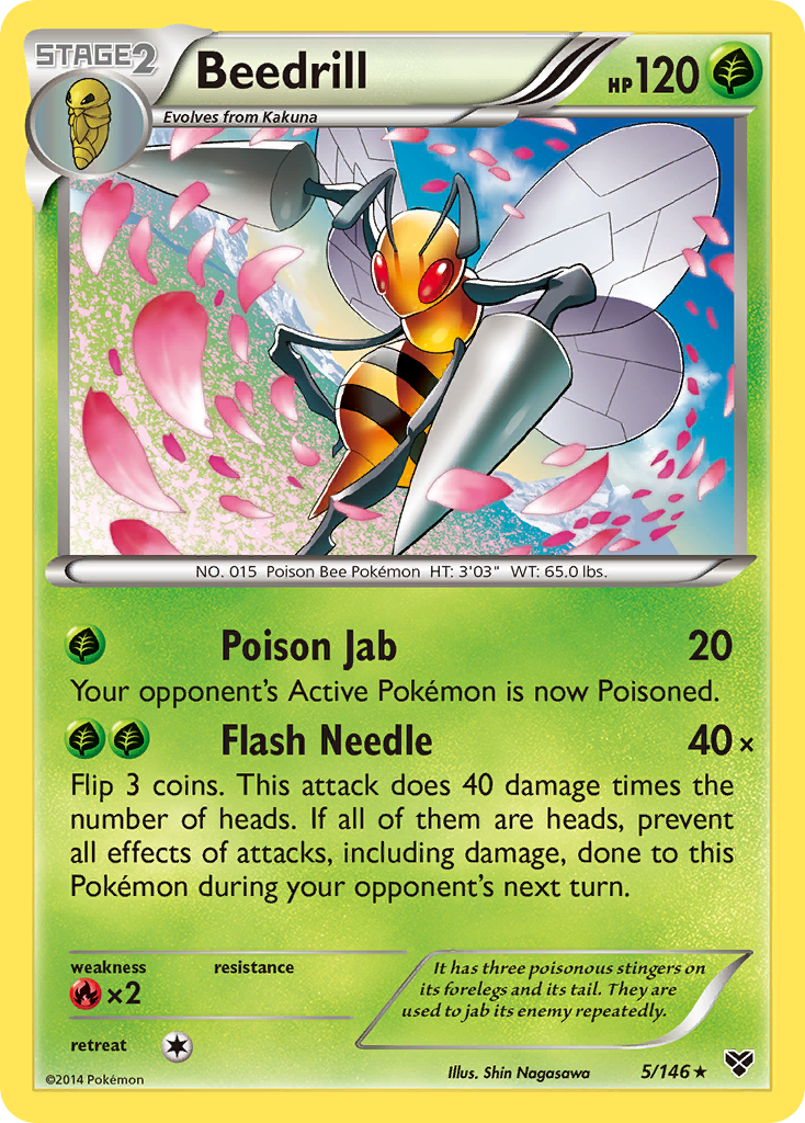 Beedrill (5/146) [XY: Base Set] | Dragon's Lair Comics and Fantasy Houston TX