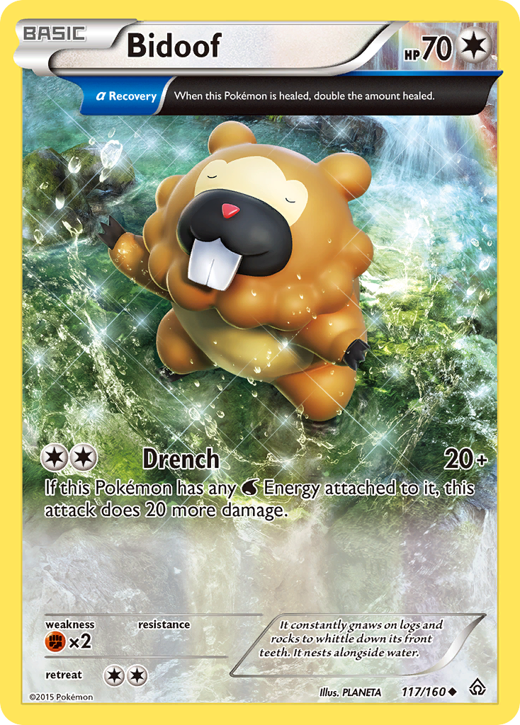 Bidoof (117/160) [XY: Primal Clash] | Dragon's Lair Comics and Fantasy Houston TX