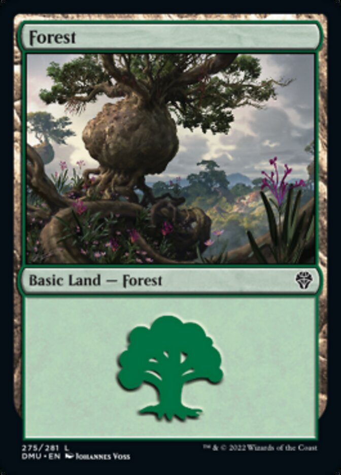 Forest (275) [Dominaria United] | Dragon's Lair Comics and Fantasy Houston TX