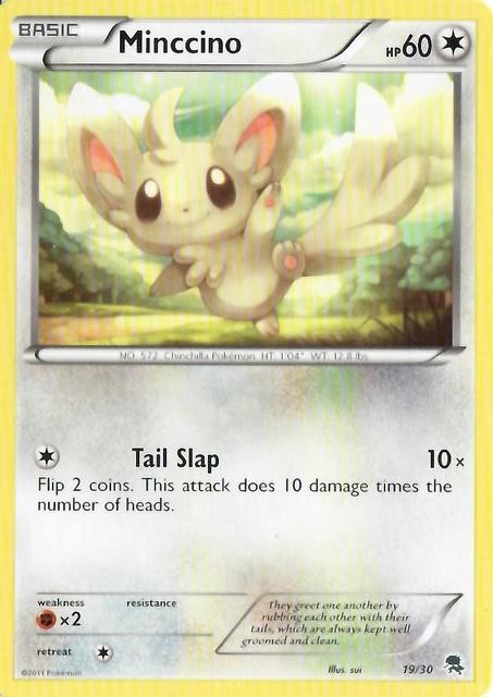 Minccino (19/30) [Black & White: Trainer Kit - Zoroark] | Dragon's Lair Comics and Fantasy Houston TX