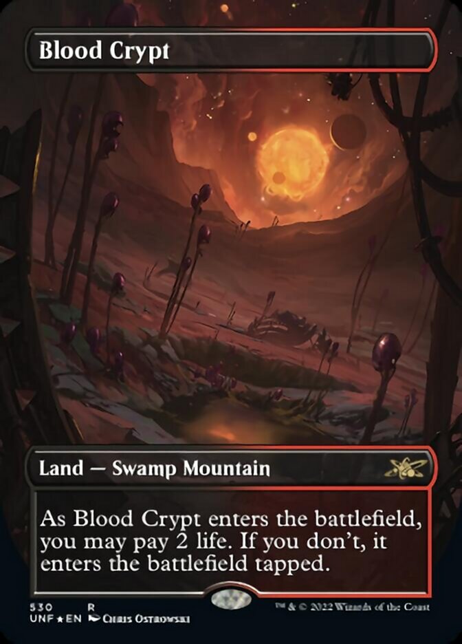 Blood Crypt (Borderless) (Galaxy Foil) [Unfinity] | Dragon's Lair Comics and Fantasy Houston TX