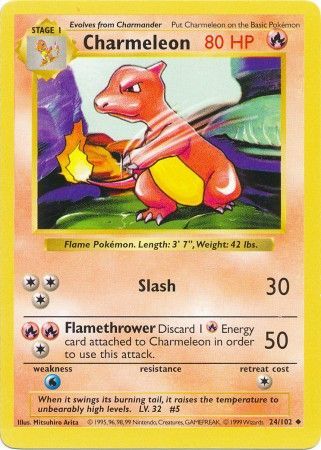 Charmeleon (24/102) [Base Set Shadowless Unlimited] | Dragon's Lair Comics and Fantasy Houston TX