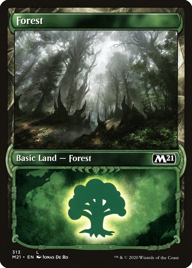 Forest (313) (Showcase) [Core Set 2021] | Dragon's Lair Comics and Fantasy Houston TX