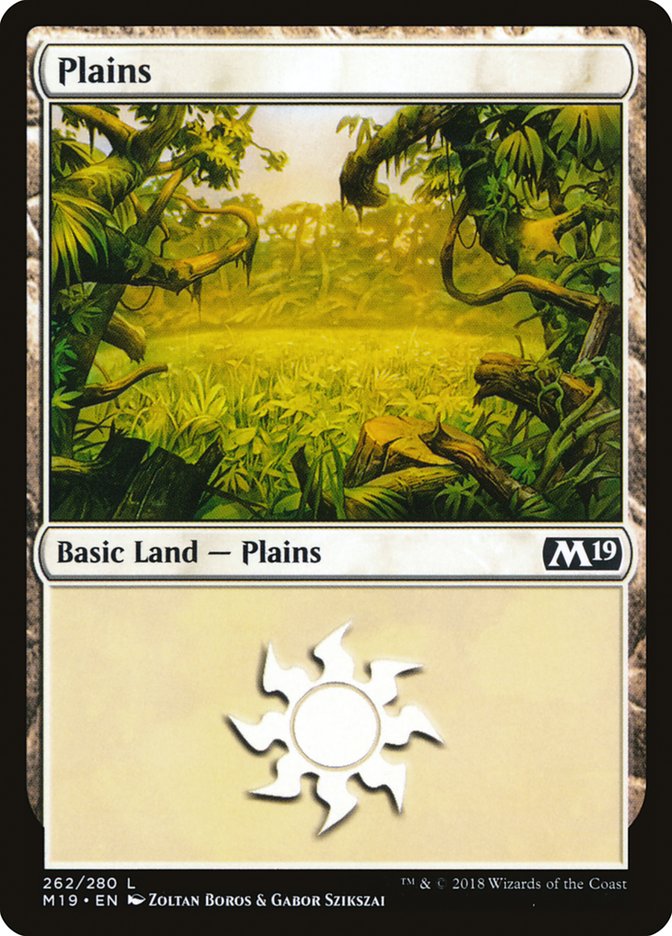 Plains (262) [Core Set 2019] | Dragon's Lair Comics and Fantasy Houston TX