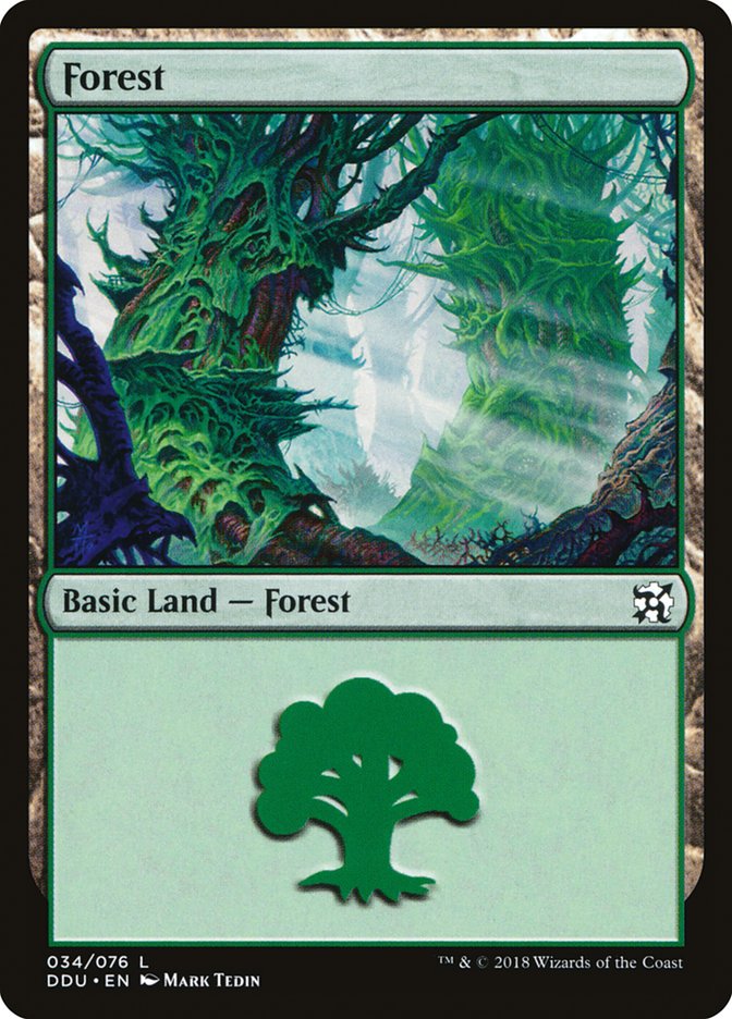 Forest (34) [Duel Decks: Elves vs. Inventors] | Dragon's Lair Comics and Fantasy Houston TX