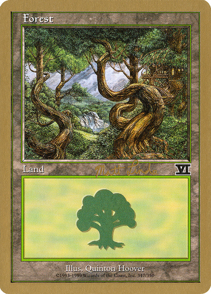 Forest (ml347b) (Matt Linde) [World Championship Decks 1999] | Dragon's Lair Comics and Fantasy Houston TX