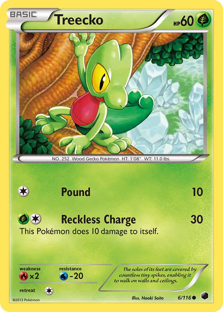 Treecko (6/116) [Black & White: Plasma Freeze] | Dragon's Lair Comics and Fantasy Houston TX