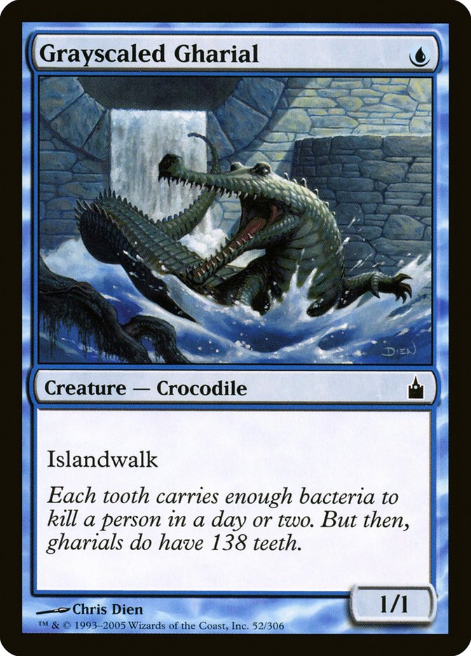 Grayscaled Gharial [Ravnica: City of Guilds] | Dragon's Lair Comics and Fantasy Houston TX