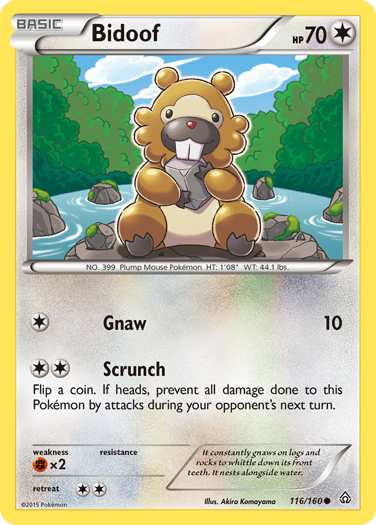 Bidoof (116/160) [XY: Primal Clash] | Dragon's Lair Comics and Fantasy Houston TX