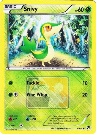 Snivy (1/114) (League Promo) [Black & White: Base Set] | Dragon's Lair Comics and Fantasy Houston TX