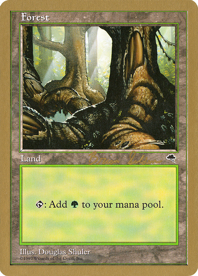 Forest (bs348) (Brian Selden) [World Championship Decks 1998] | Dragon's Lair Comics and Fantasy Houston TX