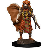 Wizkids  Dungeons and Dragons Fantasy Miniatures: Icons of the Realms Premium Figures W4 Human Druid Male | Dragon's Lair Comics and Fantasy Houston TX