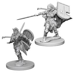 Wizkids Pathfinder: DEEP CUTS UNPAINTED MINIATURES -W1-FEMALE HUMAN PALADIN | Dragon's Lair Comics and Fantasy Houston TX