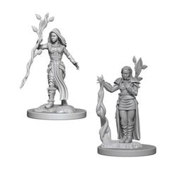 Wizkids Dungeons and Dragons: NOLZUR'S MARVELOUS UNPAINTED MINIATURES -W2-FEMALE HUMAN DRUID | Dragon's Lair Comics and Fantasy Houston TX