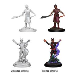 Wizkids Dungeons and Dragons: NOLZUR'S MARVELOUS UNPAINTED MINIATURES -W6-MALE TIEFLING WARLOCK | Dragon's Lair Comics and Fantasy Houston TX