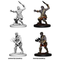 Wizkids Dungeons and Dragons: NOLZUR'S MARVELOUS UNPAINTED MINIATURES -W6-NAMELESS ONE | Dragon's Lair Comics and Fantasy Houston TX