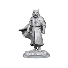 Critical Role Unpainted Miniatures: W03 Male Human Sorcerer Merchant & Tiger Demon | Dragon's Lair Comics and Fantasy Houston TX