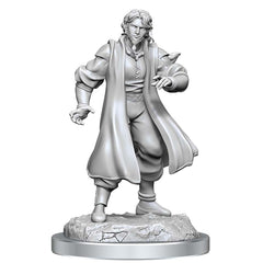 Critical Role Unpainted Miniatures: W03 Male Human Sorcerer Merchant & Tiger Demon | Dragon's Lair Comics and Fantasy Houston TX