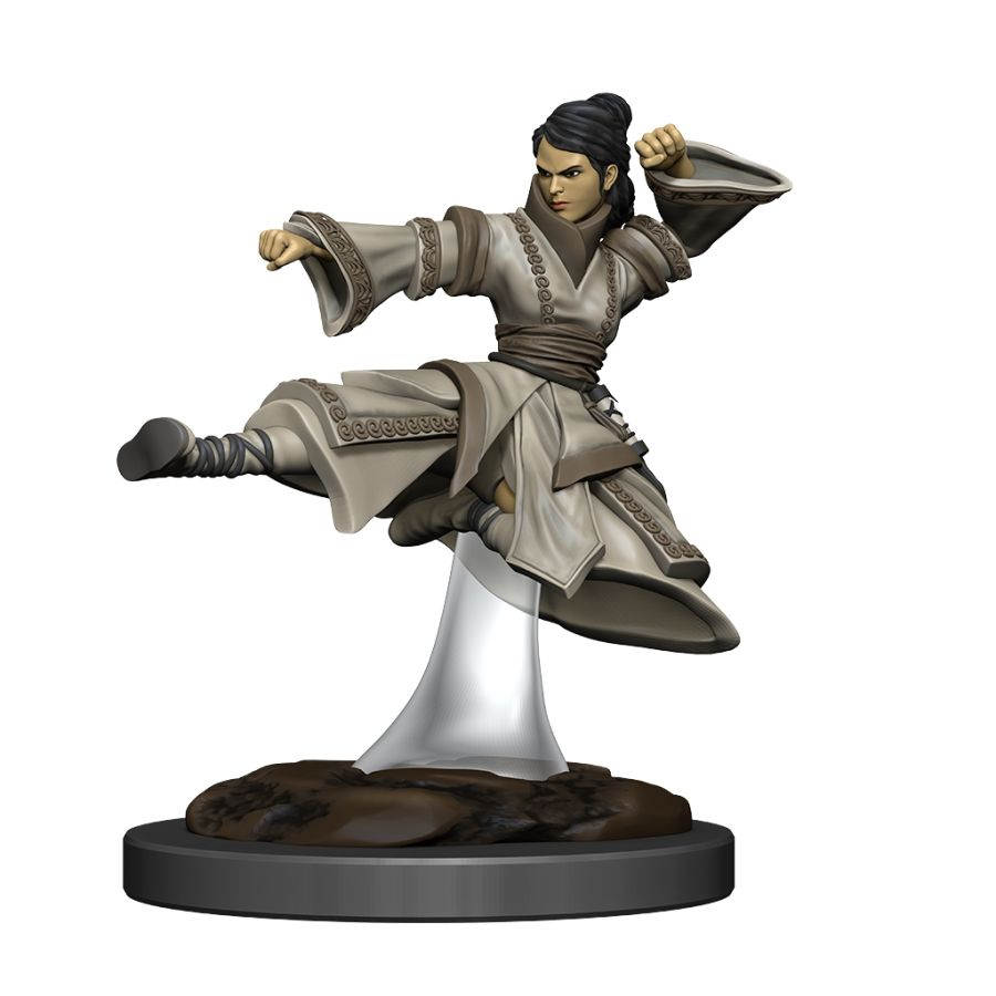 Wizkids Dungeons and Dragons Icons of the Realms Premium Figures: W6 Female Human Monk | Dragon's Lair Comics and Fantasy Houston TX