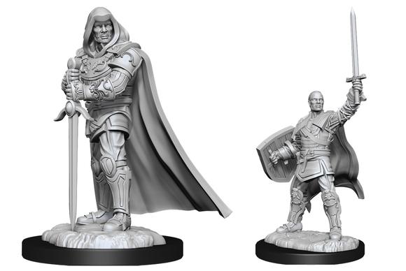 Wizkids Dungeons and Dragons Nolzur`s Marvelous Unpainted Miniatures: W13 Human Paladin Male | Dragon's Lair Comics and Fantasy Houston TX