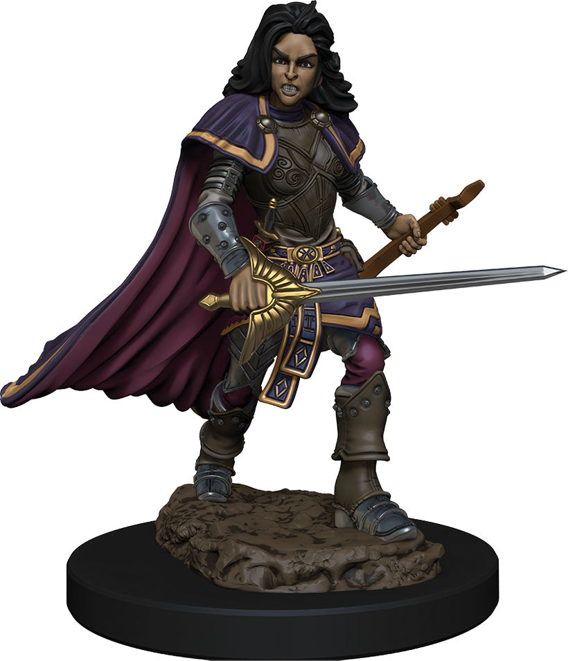 Wizkids Pathfinder Battles Premium Painted Miniatures: W2 Human Bard Female | Dragon's Lair Comics and Fantasy Houston TX