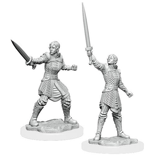 Critical Role Unpainted Miniatures: W01 Human Dwendalian Empire Fighter Female | Dragon's Lair Comics and Fantasy Houston TX